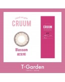 T-Garden/CRUUM/日拋10片裝/綻放粉Blossom